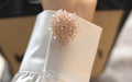 Bijou de chemise Patrizia – Éclat Rosé